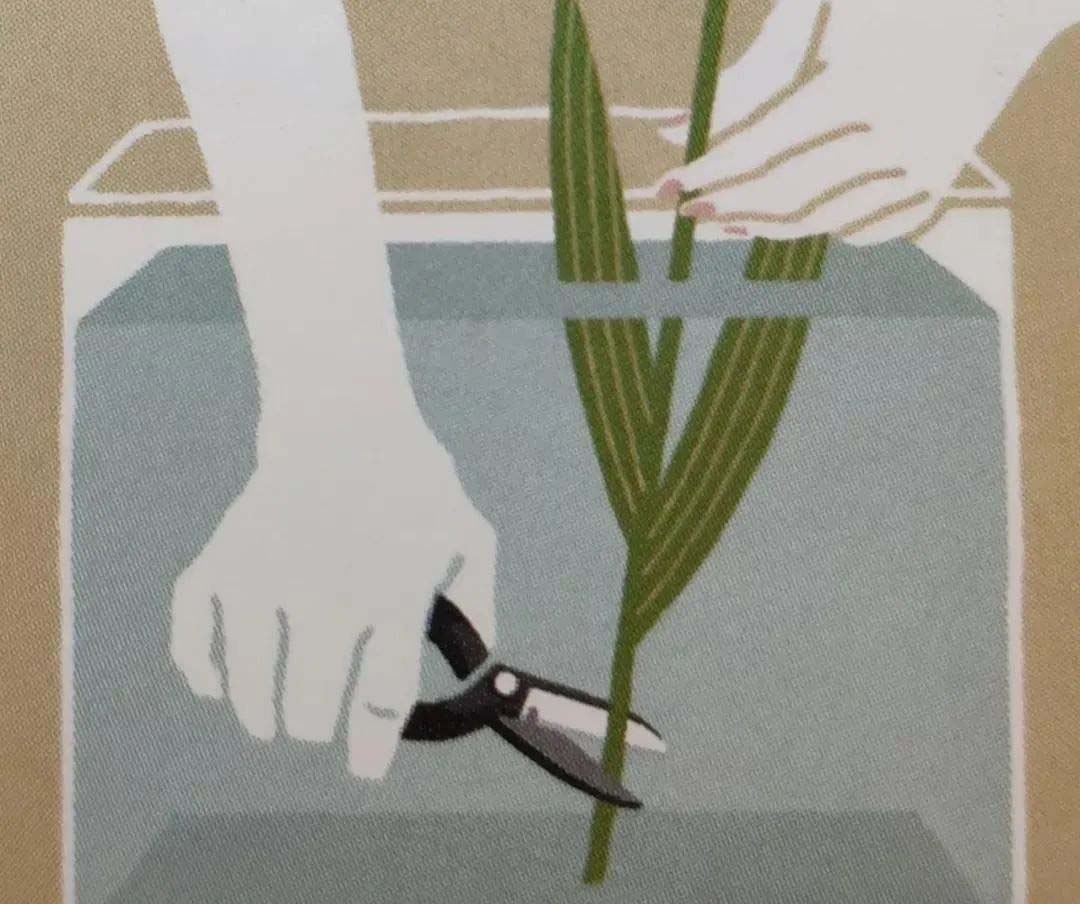 Water cutting method