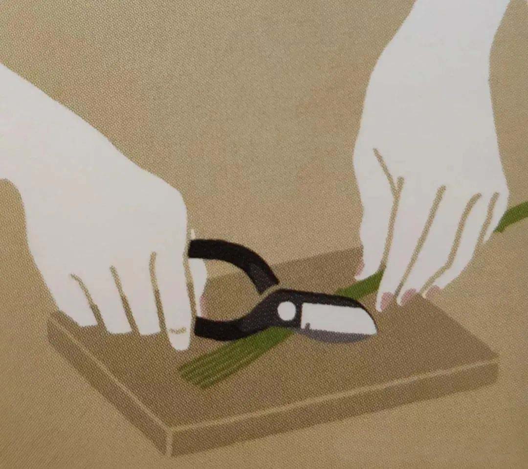 Strike the top of the flower branch